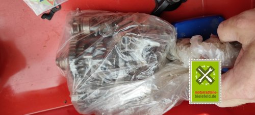 IMG_20230827_125245